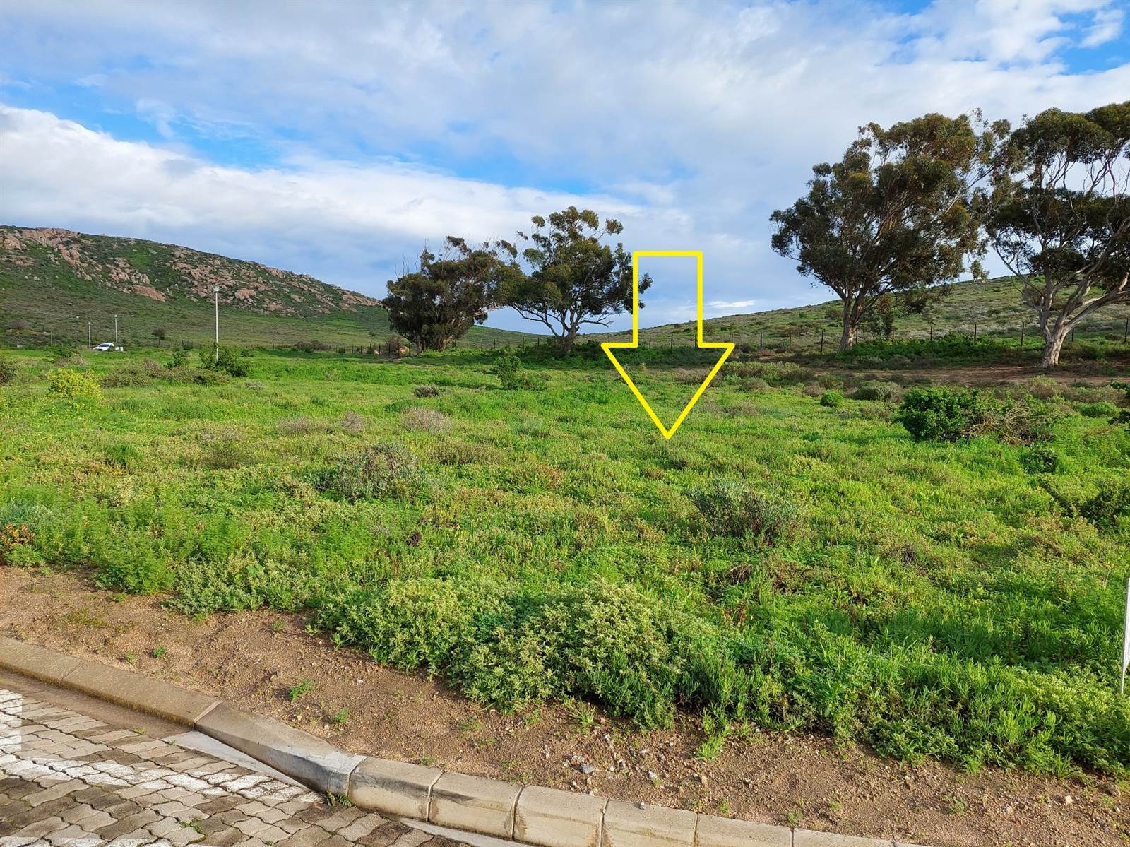 471 m² Land available in St Helena Views photo number 4