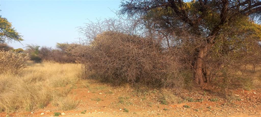 1180 m² Land available in Kathu photo number 2