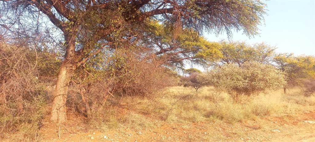 1180 m² Land available in Kathu photo number 3