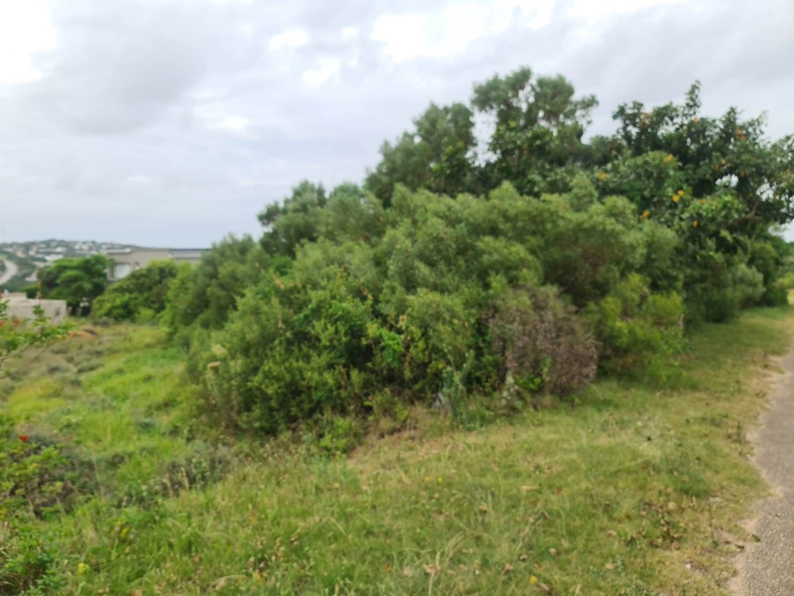 710 m² Land available in Riversbend photo number 10