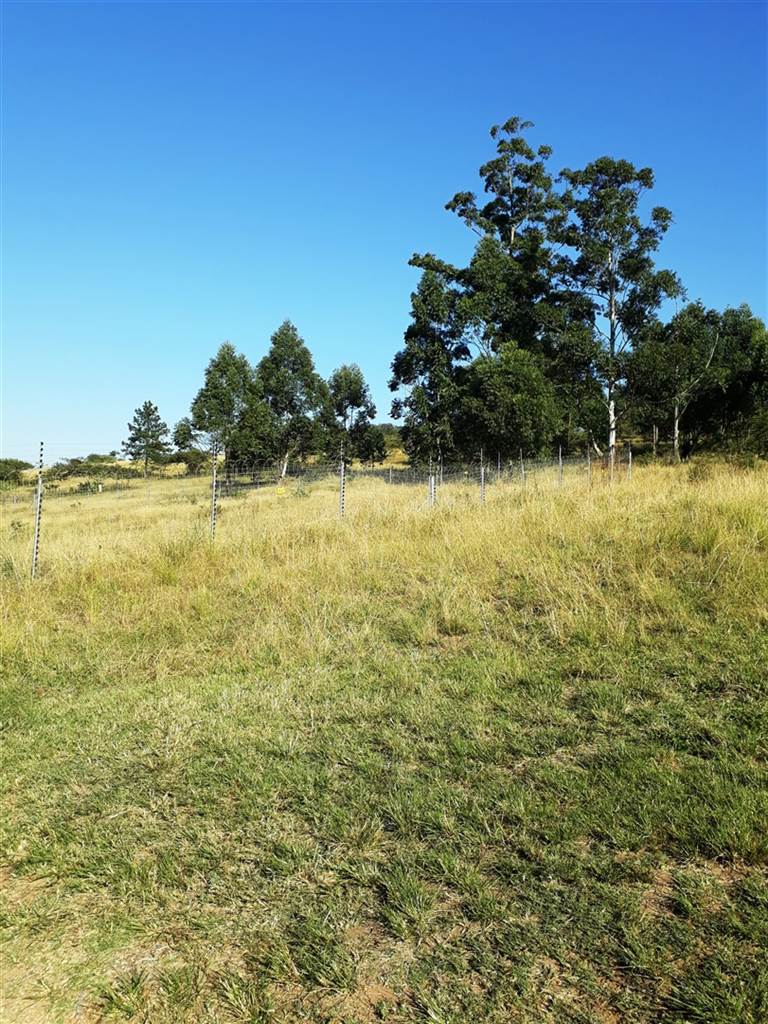 14.1 ha Land available in Hammarsdale photo number 4