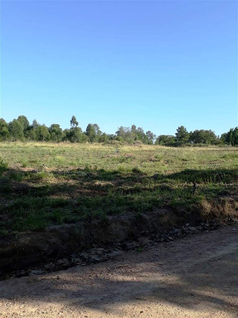 14.1 ha Land available in Hammarsdale photo number 14
