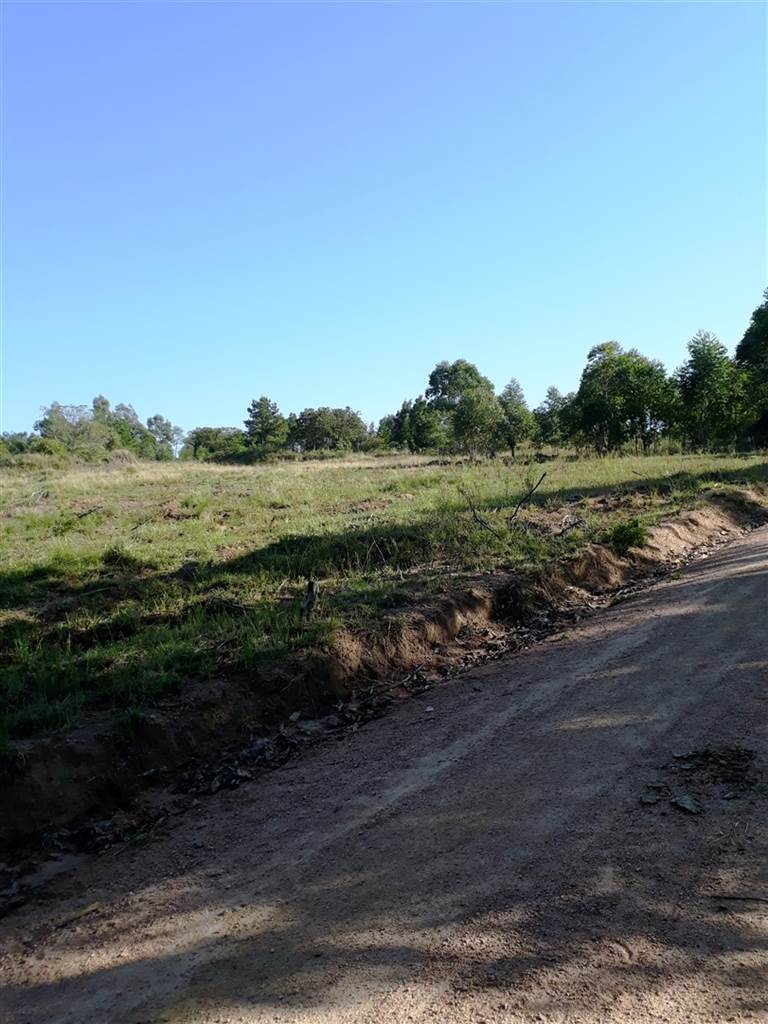 14.1 ha Land available in Hammarsdale photo number 16
