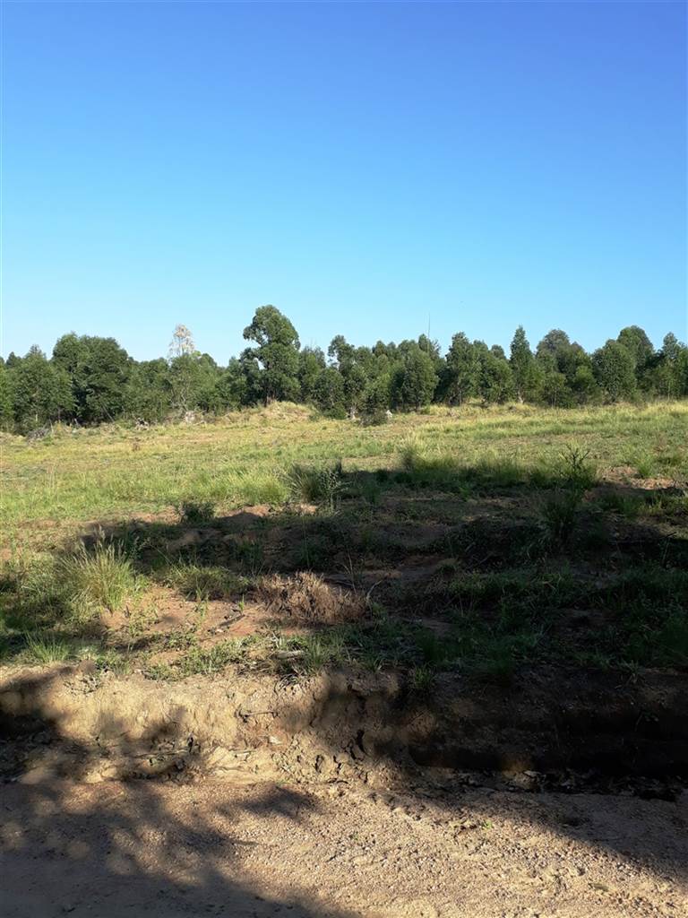 14.1 ha Land available in Hammarsdale photo number 13