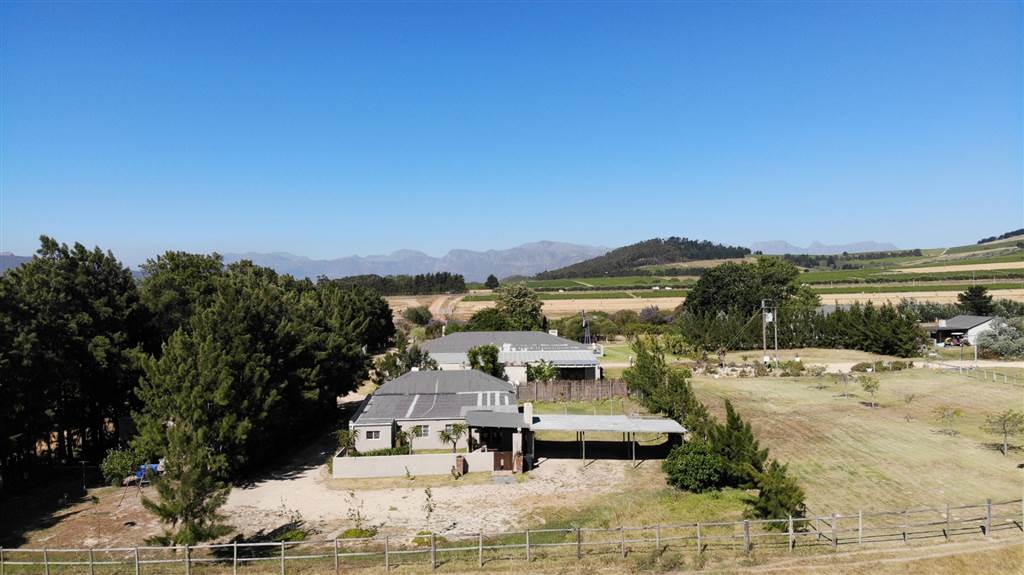 55.6 ha Farm in Stellenbosch Agricultural photo number 16