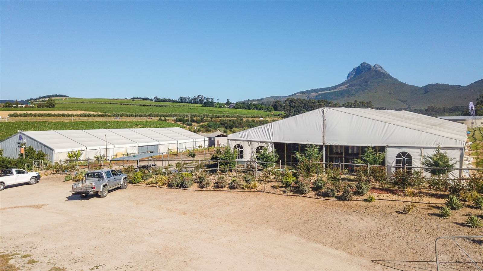 55.6 ha Farm in Stellenbosch Agricultural photo number 9