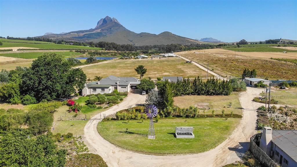 55.6 ha Farm in Stellenbosch Agricultural photo number 3