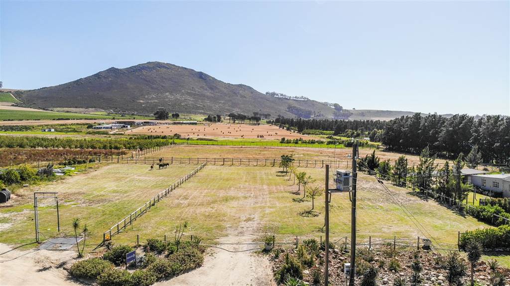 55.6 ha Farm in Stellenbosch Agricultural photo number 10