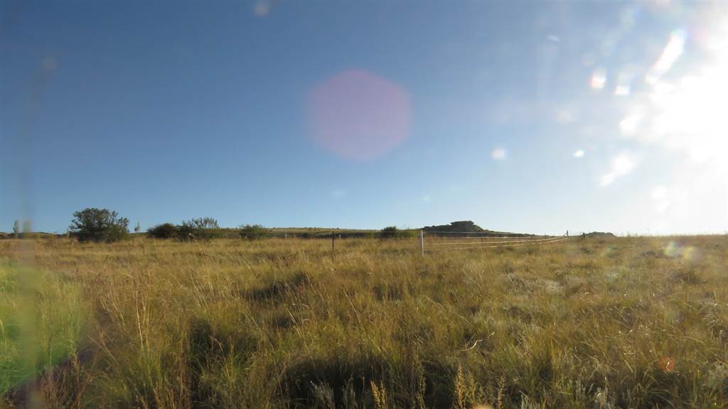 9989 m² Land available in Clarens photo number 13