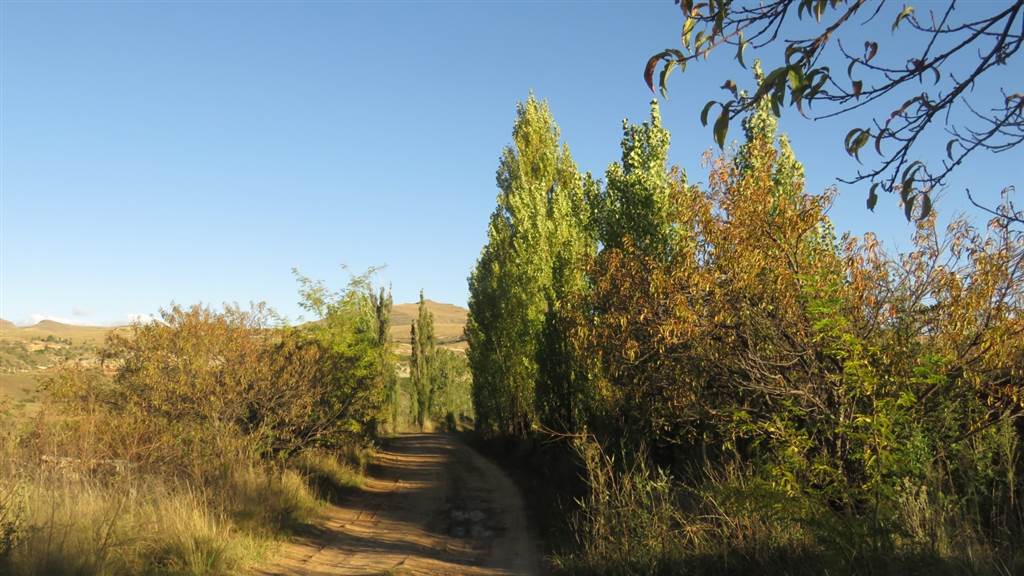 9989 m² Land available in Clarens photo number 23