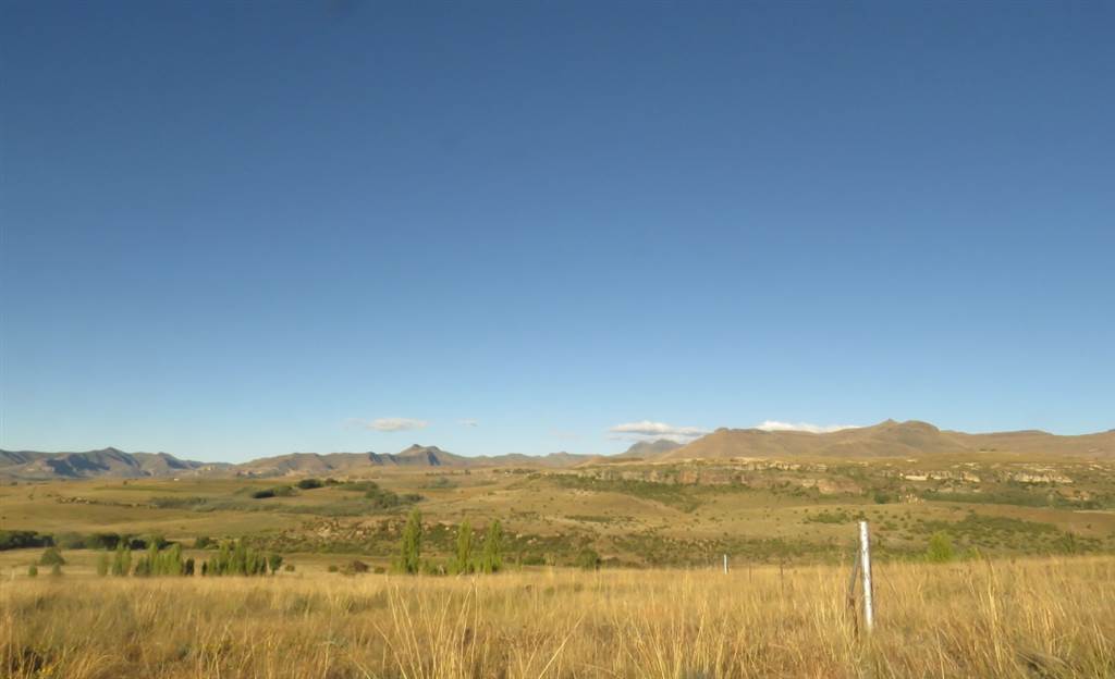 9989 m² Land available in Clarens photo number 7