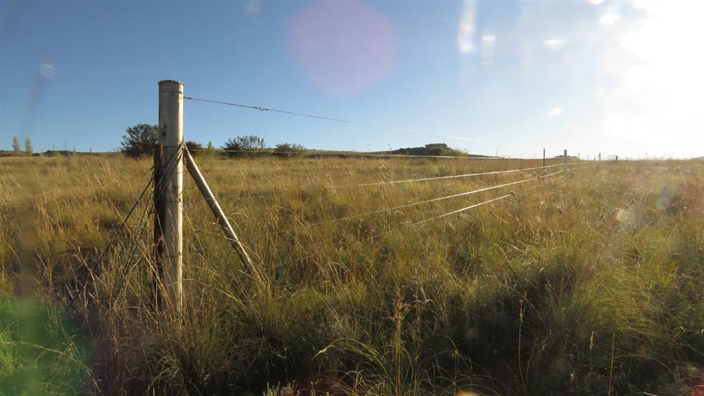 9989 m² Land available in Clarens photo number 9