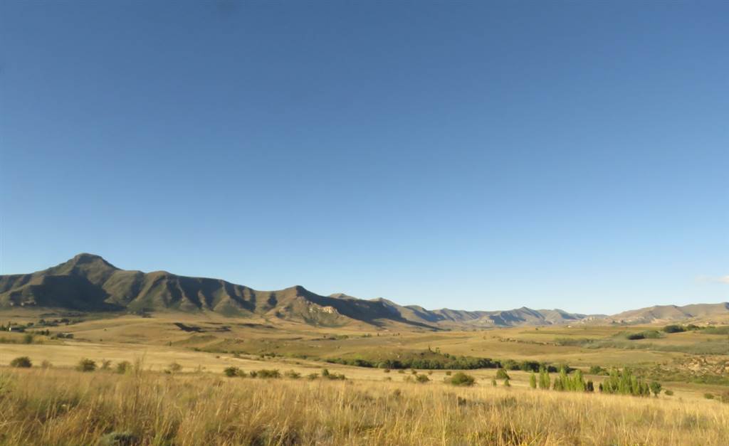 9989 m² Land available in Clarens photo number 8
