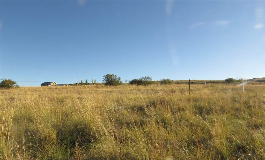 9989 m² Land available in Clarens photo number 14