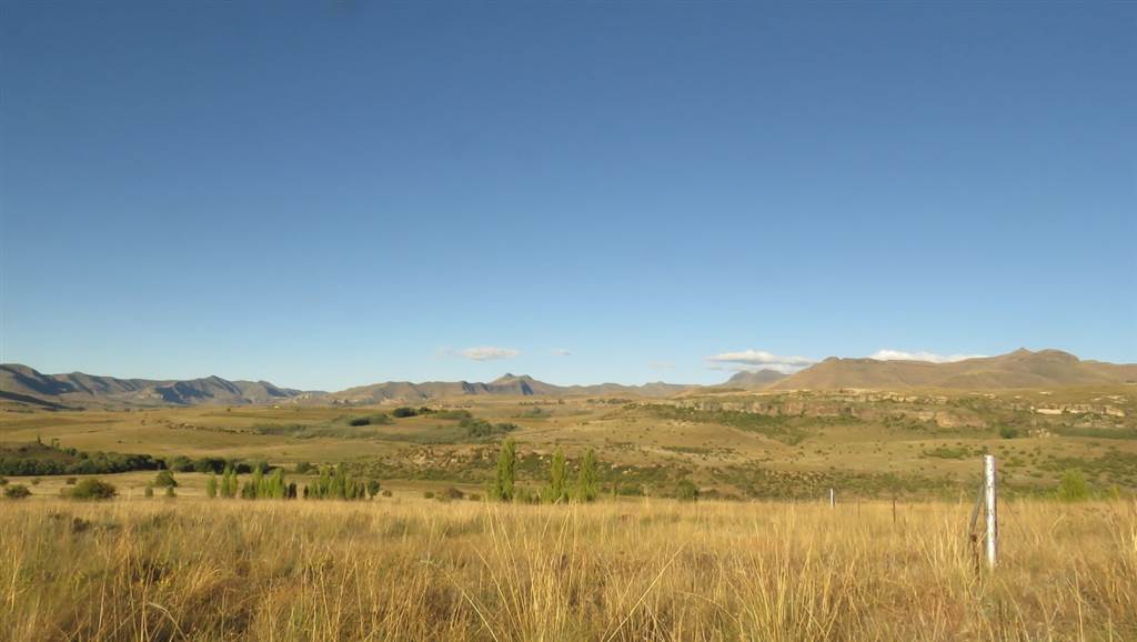 9989 m² Land available in Clarens photo number 6