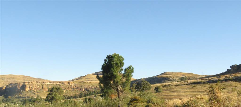 9989 m² Land available in Clarens photo number 3