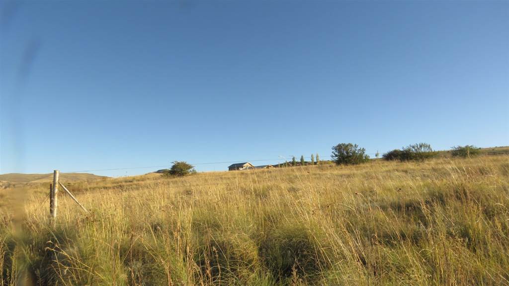 9989 m² Land available in Clarens photo number 15