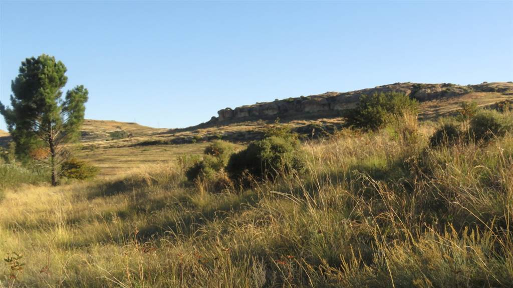 9989 m² Land available in Clarens photo number 2