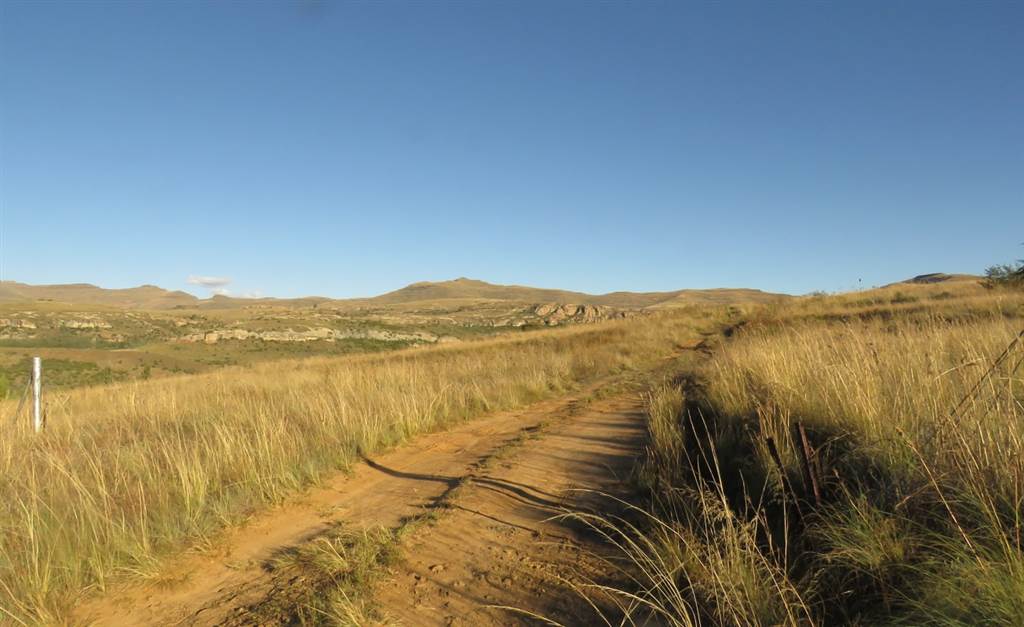 9989 m² Land available in Clarens photo number 5