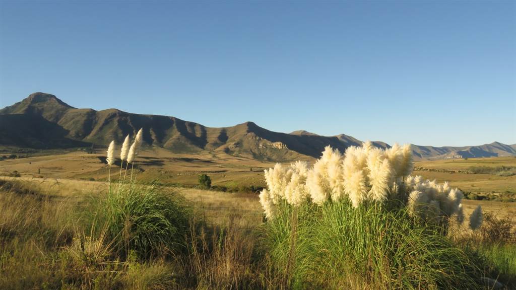 9989 m² Land available in Clarens photo number 22
