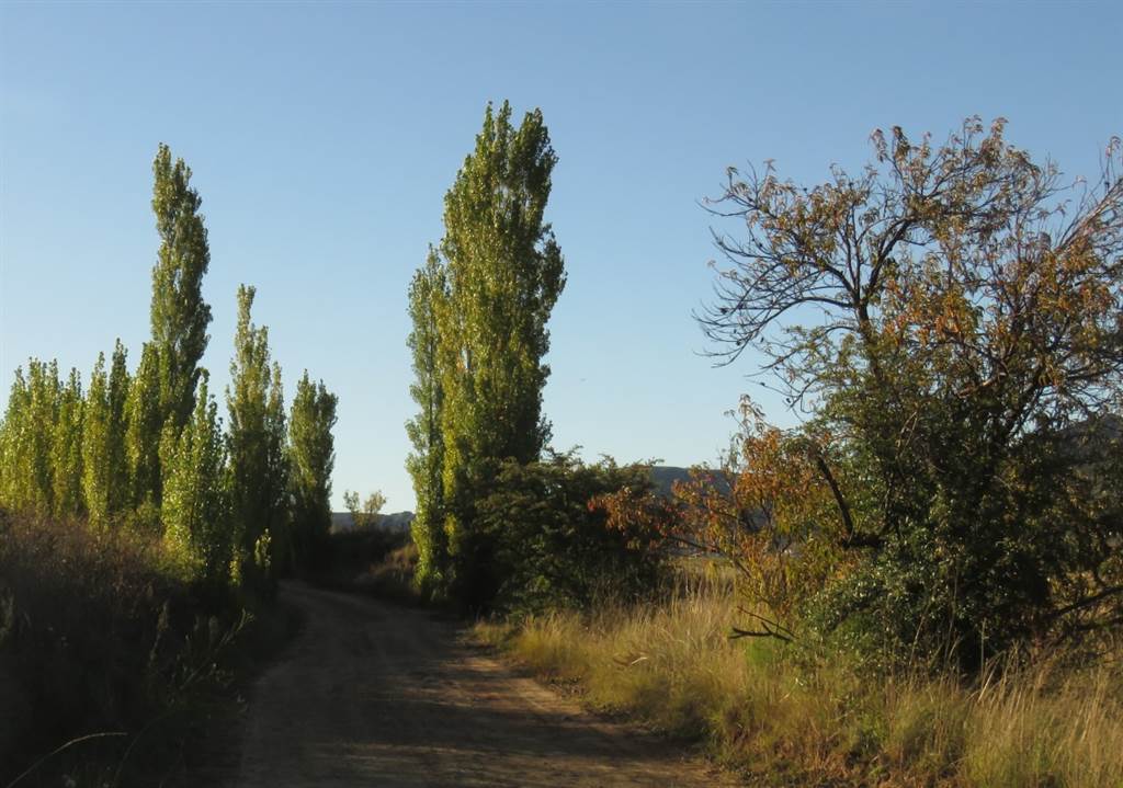 9989 m² Land available in Clarens photo number 24