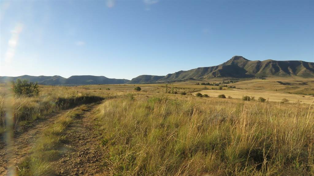 9989 m² Land available in Clarens photo number 11