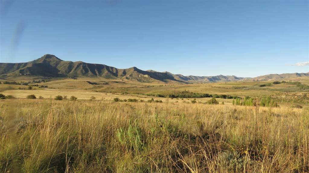 9989 m² Land available in Clarens photo number 1