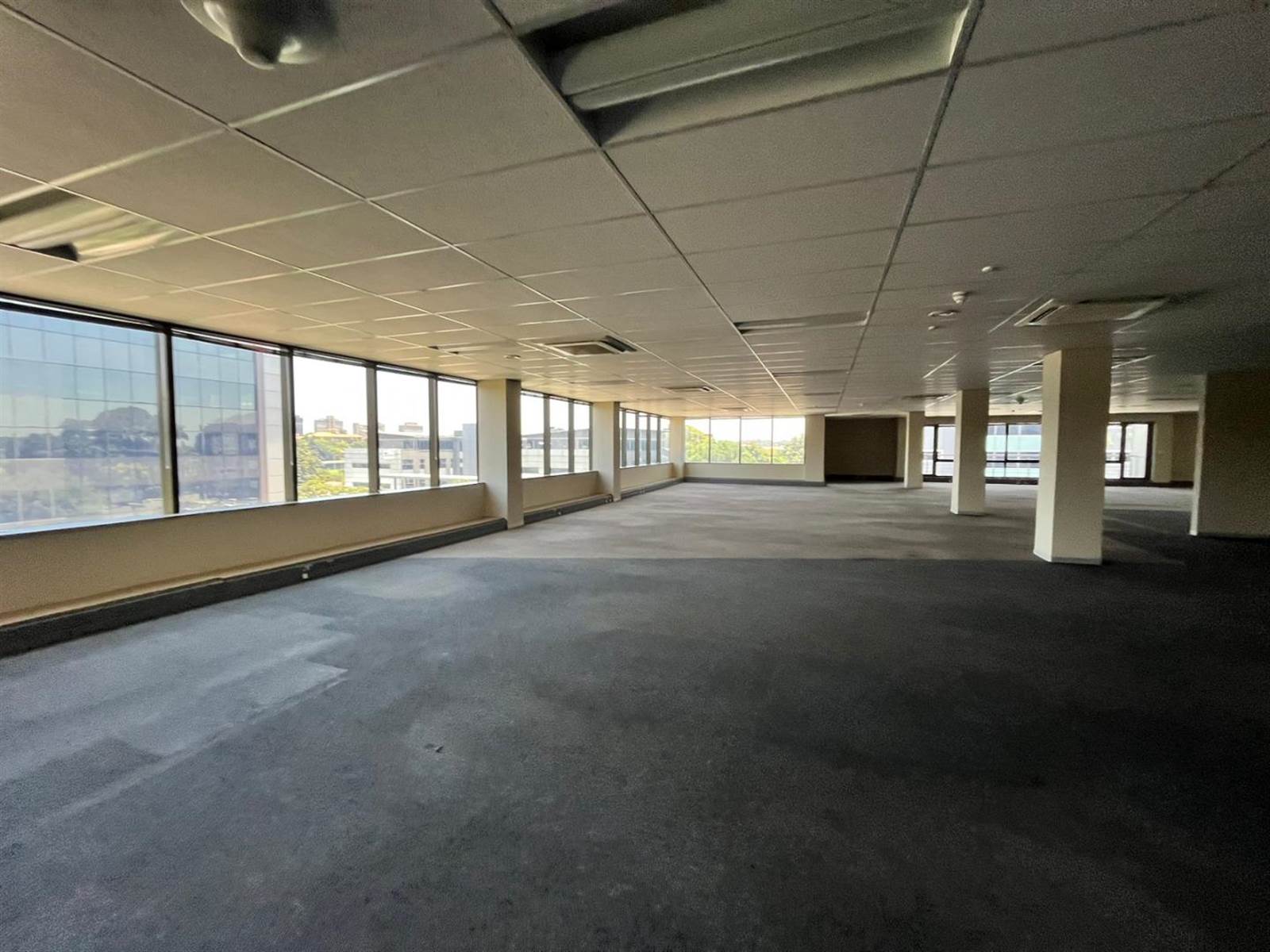2437  m² Commercial space in Parktown photo number 5
