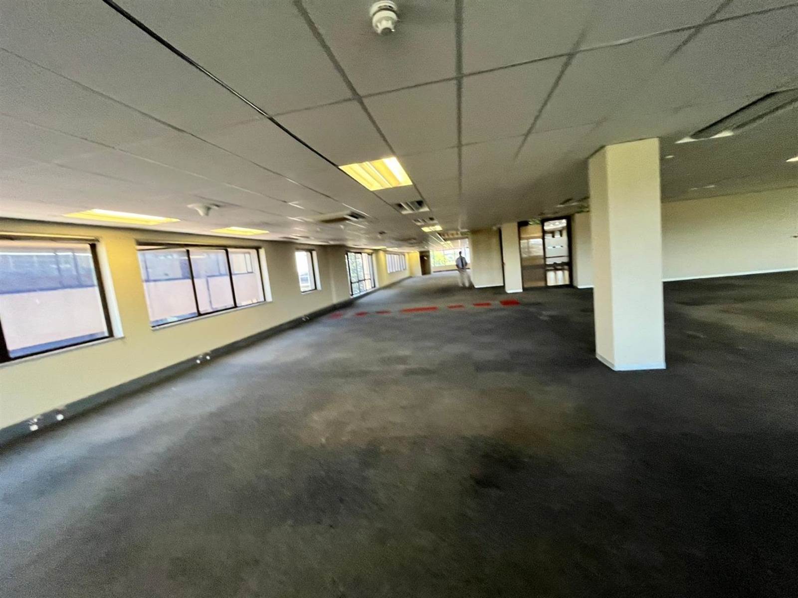 2437  m² Commercial space in Parktown photo number 7