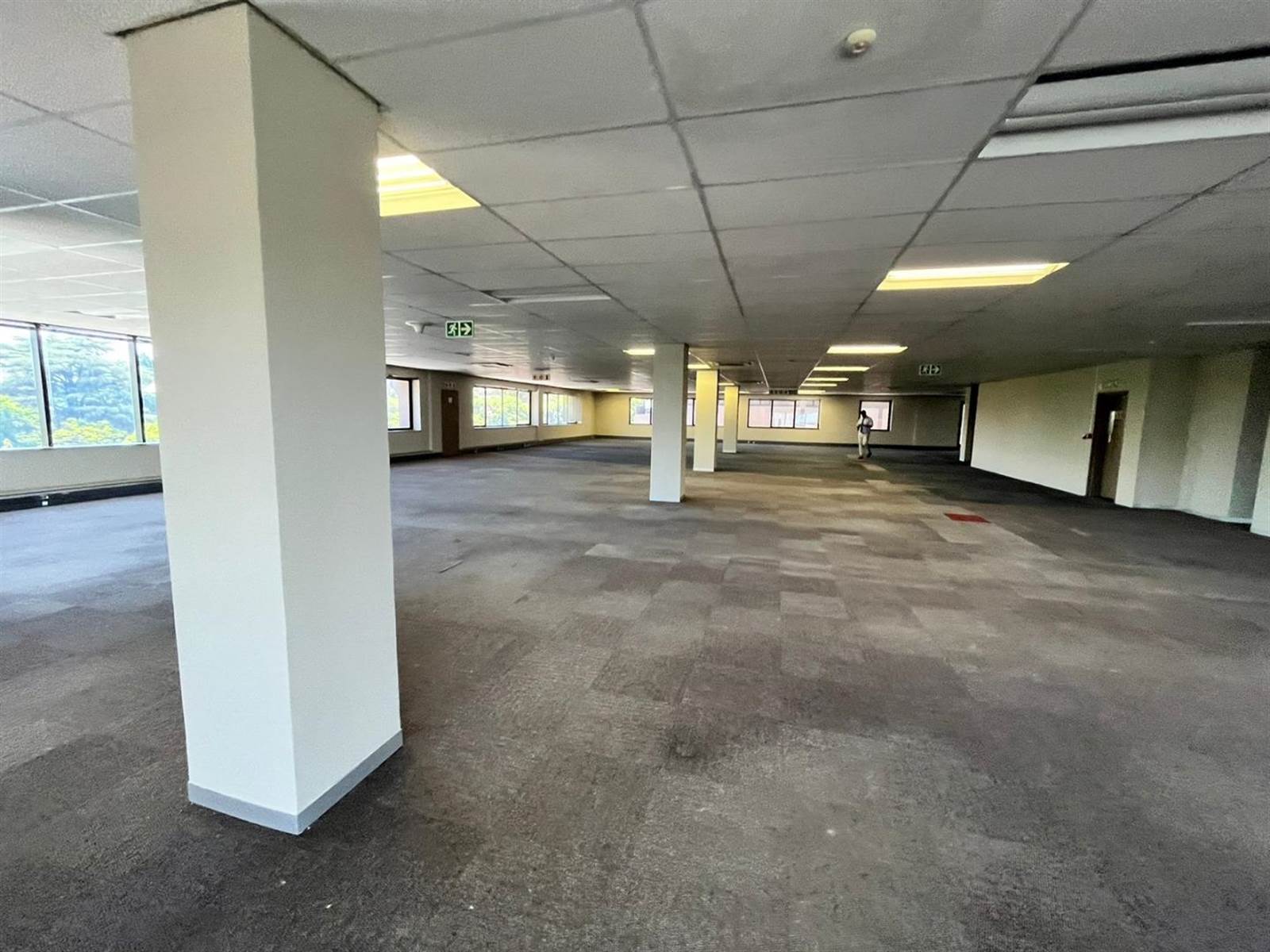 2437  m² Commercial space in Parktown photo number 13