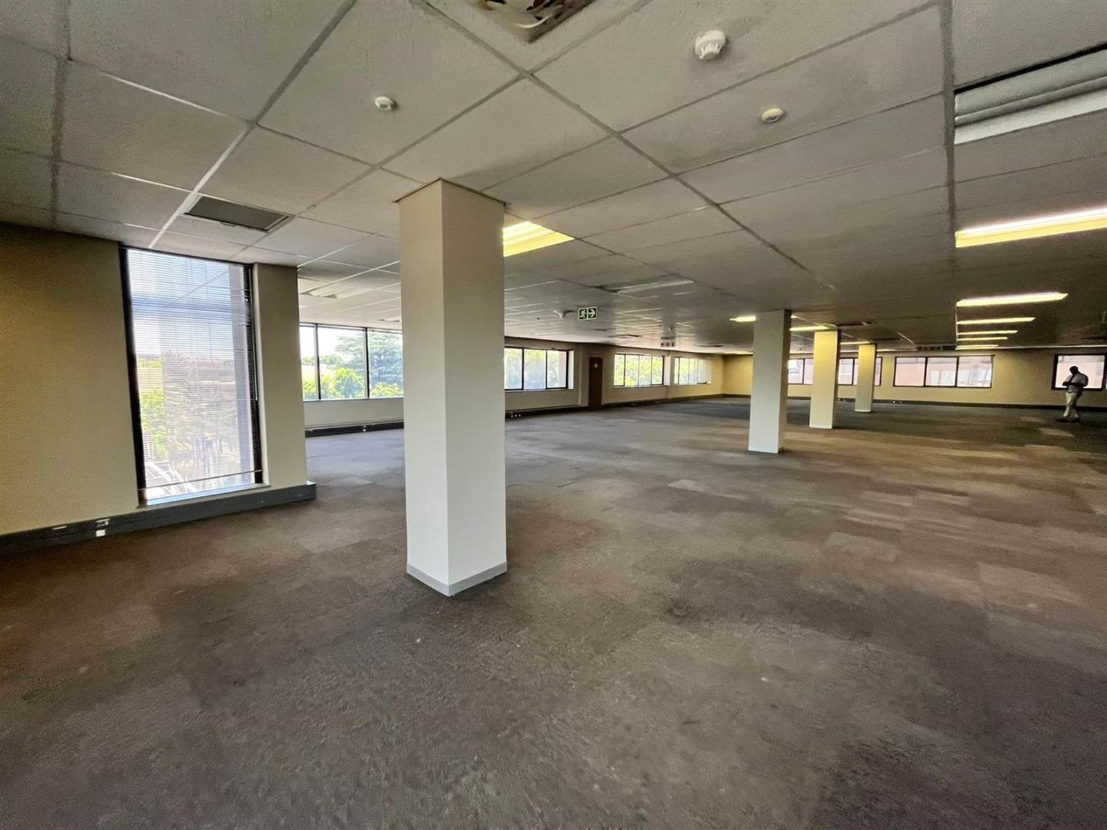 2437  m² Commercial space in Parktown photo number 21