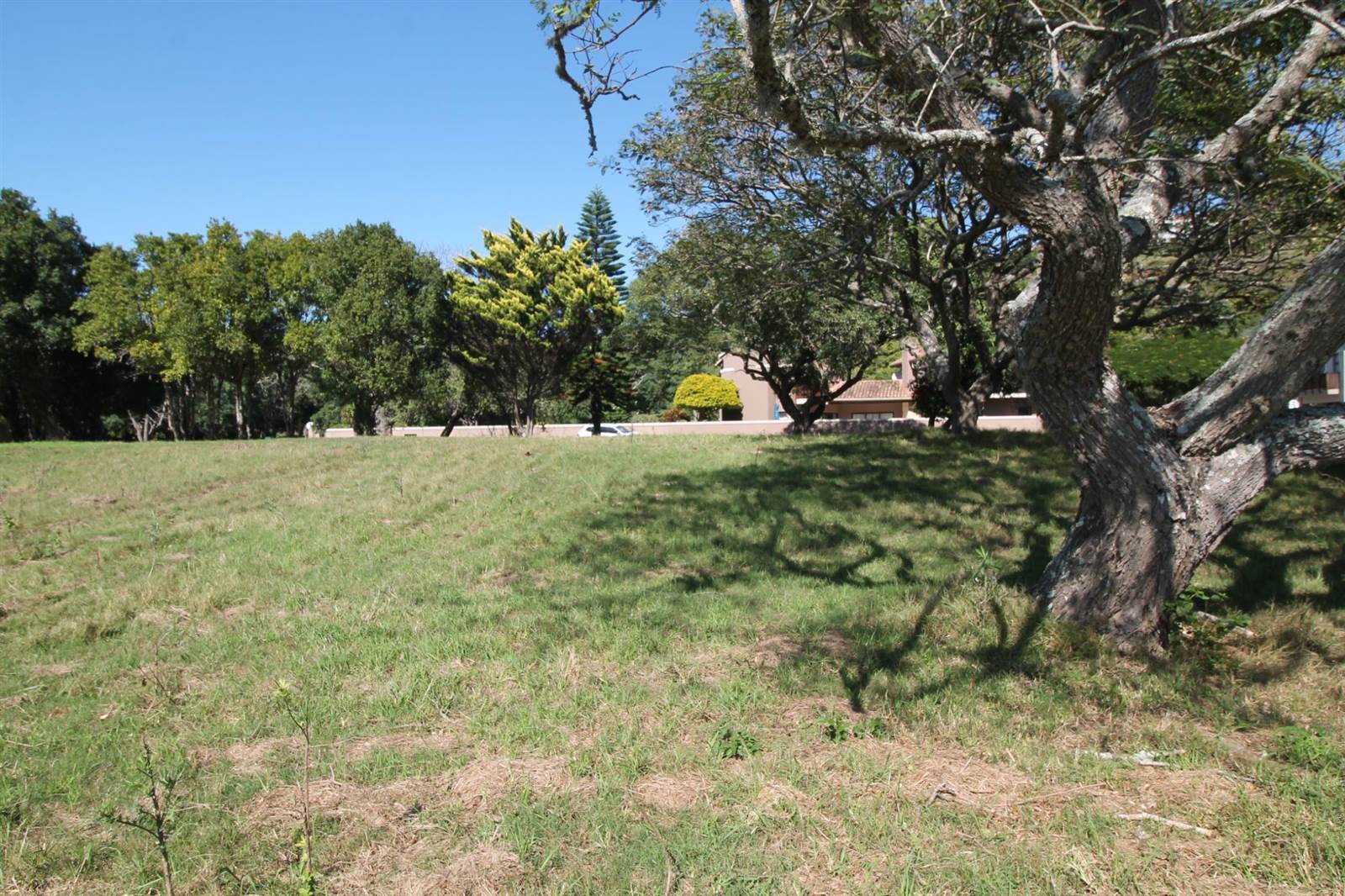 907 m² Land available in Port Alfred photo number 3