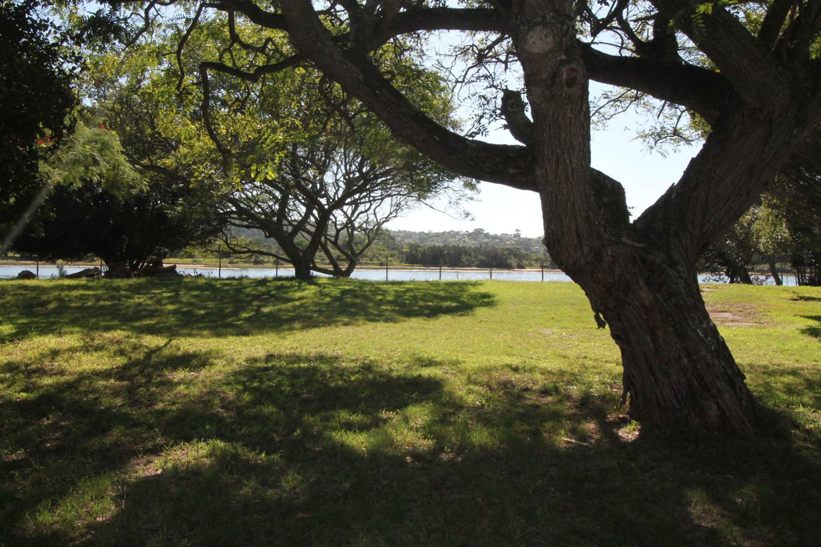 907 m² Land available in Port Alfred photo number 8