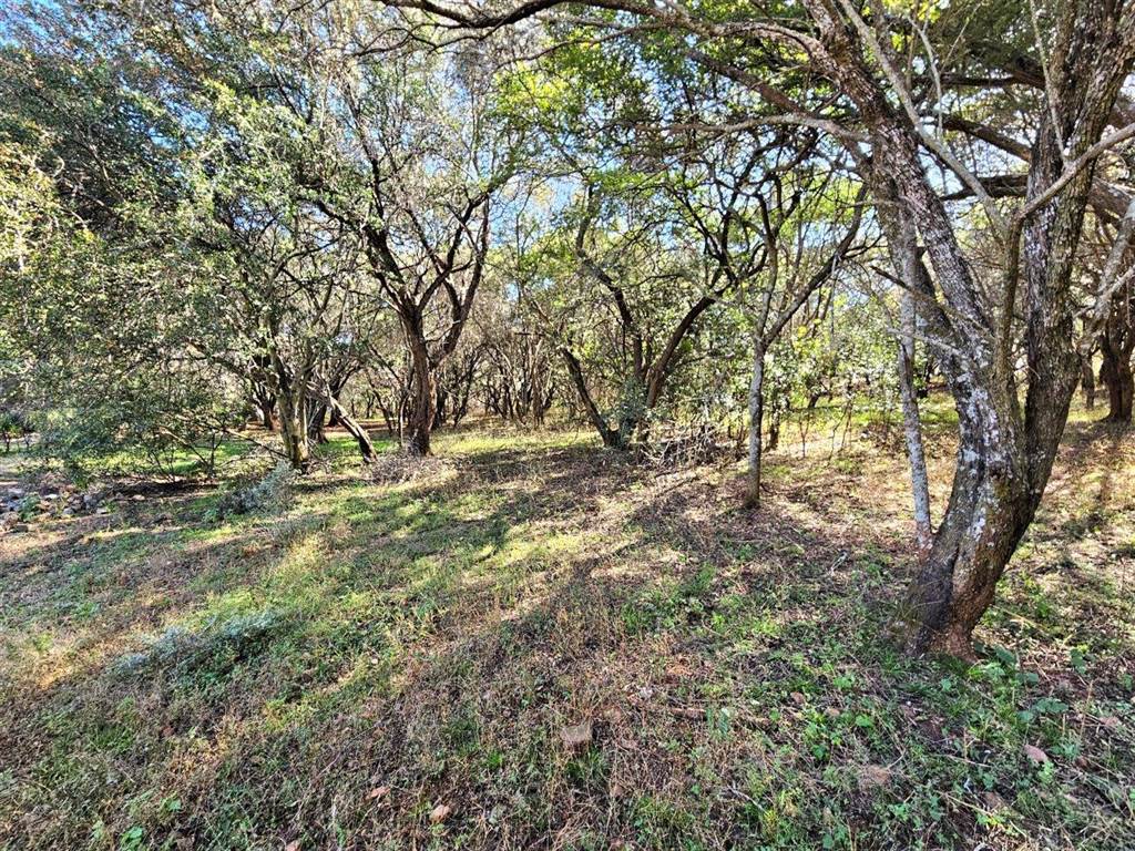 7346 m² Land available in Kosmos photo number 11