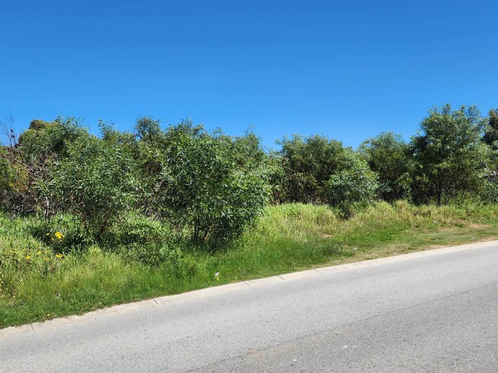 802 m² Land available in Fairview photo number 1