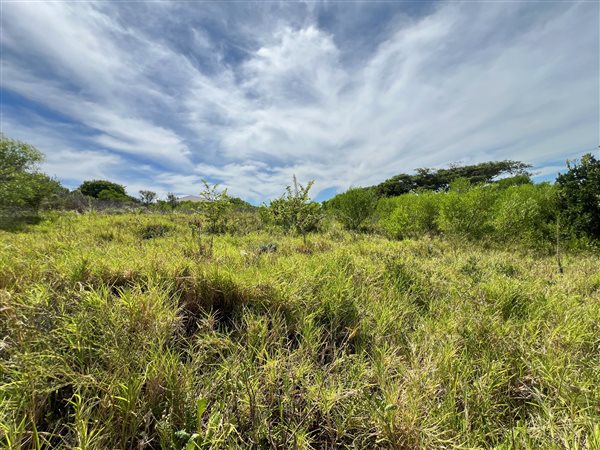 1800 m² Land available in Mtunzini