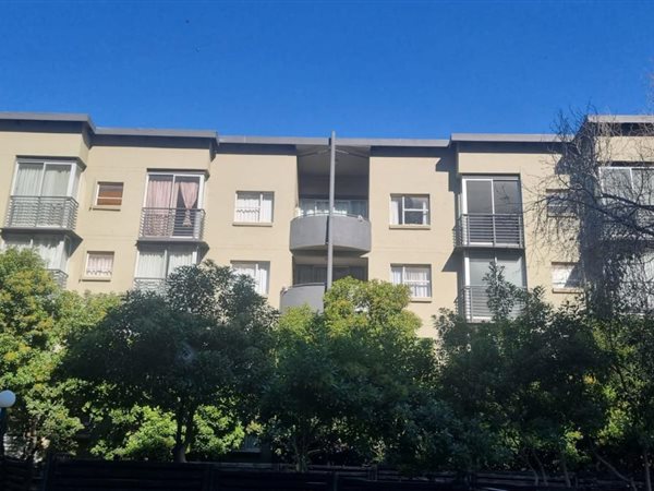 Bachelor apartment Bachelor apartment