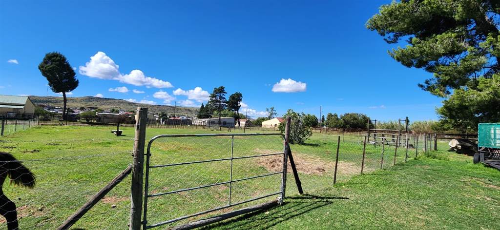 5 Bed House in Aliwal North photo number 6