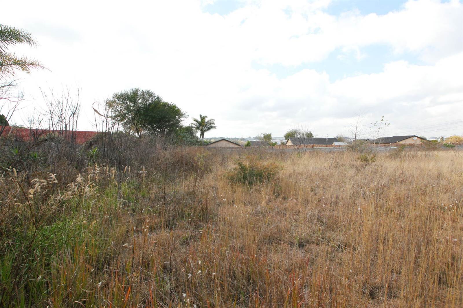 5700 m² Land available in Buccleuch photo number 7