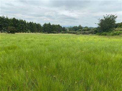 4 ha Land available in Merrivale Heights photo number 5