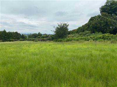 4 ha Land available in Merrivale Heights photo number 4