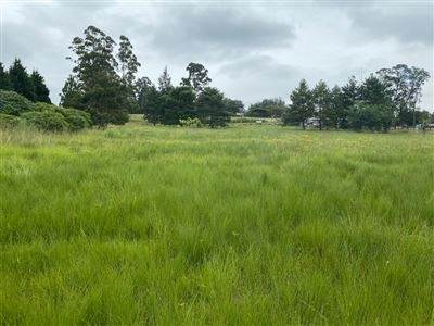 4 ha Land available in Merrivale Heights photo number 3