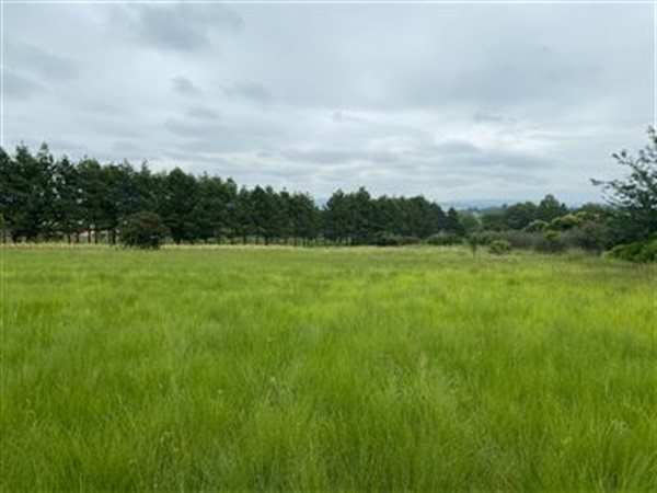 4 ha Land available in Merrivale Heights