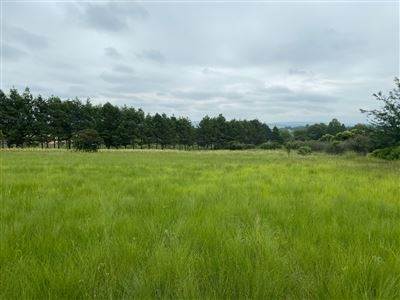 4 ha Land available in Merrivale Heights photo number 1
