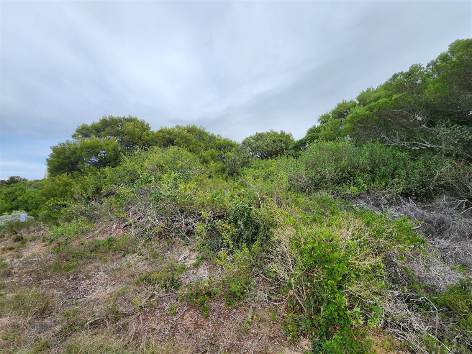 700 m² Land available in Paradise Beach photo number 8
