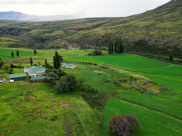 1 316 ha Farm 1 316 ha Farm