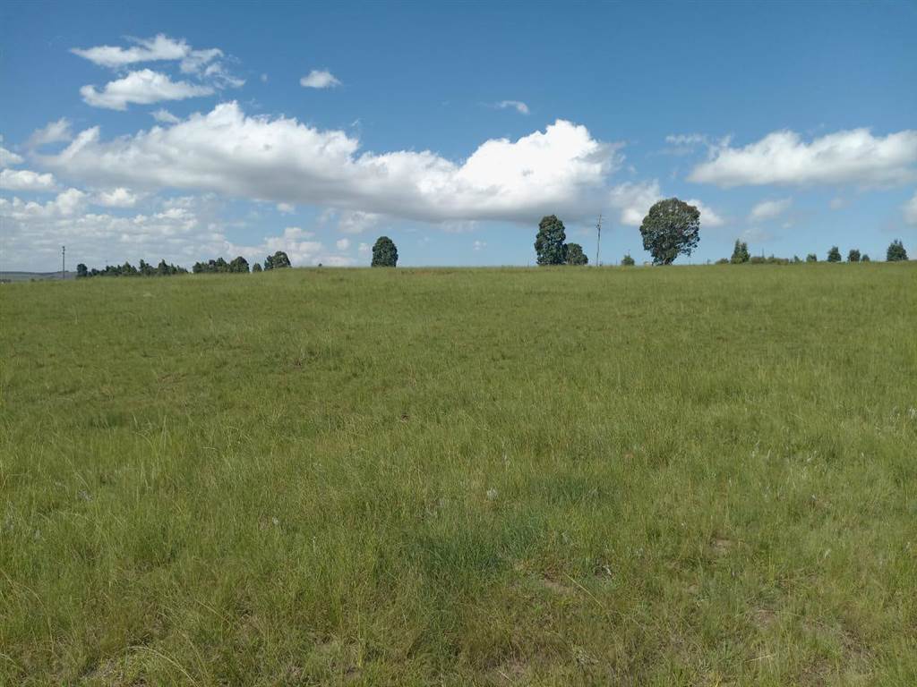 8808 m² Land available in Mthata photo number 6