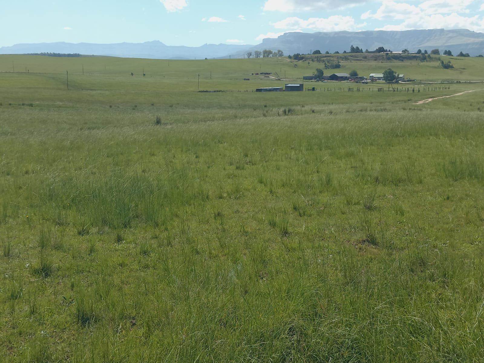 8808 m² Land available in Mthata photo number 8
