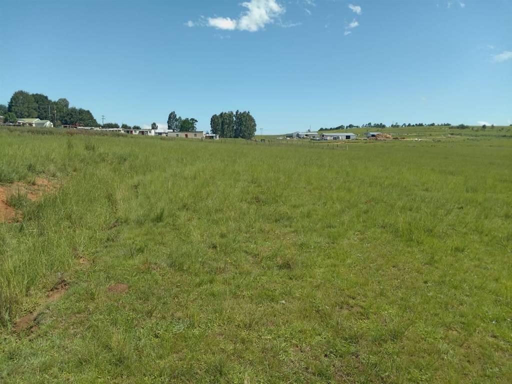 8808 m² Land available in Mthata photo number 3