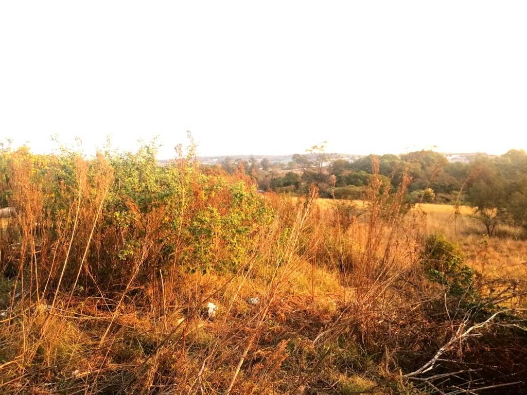 7258 m² Land available in Mkondeni photo number 3